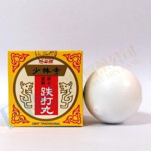 SongYangTiehTaWan<br>松羊牌少林寺跌打丸<br>10g