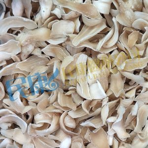 BulbusLilii<br>LilyBulb<br>3BaiHe<br>3百合