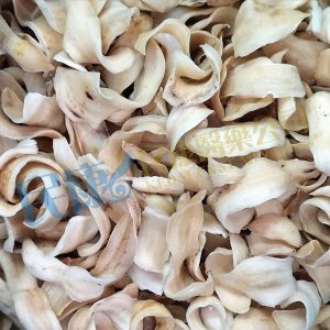 BulbusLilii<br>LilyBulb<br>2BaiHe<br>2百合