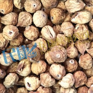 FructusFici<br>Fig<br>WuHuaGuo<br>無花果<br>无花果
