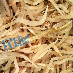 RadixAsparagi<br>TianDong(TianMenDong)<br>天冬(天門冬)<br>天冬(天门冬)