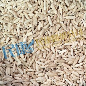 RadixOphiopogonis<br>MaiDong(MaiMenDong)<br>麥冬(麥門冬)<br>麦冬(麦门冬)