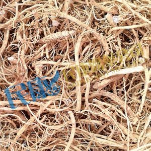 GinsengRoot<br>DongYangShenXu<br>東洋參鬚<br>东洋参须