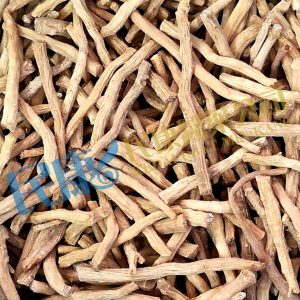 RadixAchyranthisBidentatae<br>HuaiNiuXi(HuaiNiuQi)<br>懷牛膝(淮牛膝/淮牛七)<br>怀牛膝(淮牛膝/淮牛七)