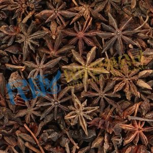 IlliciumVerum<br>StarAnise<br>BaJiaoHuiXiang<br>八角茴香