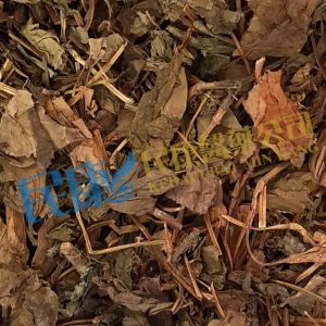 HerbaHouttuyniae<br>YuXingCao<br>魚腥草<br>鱼腥草