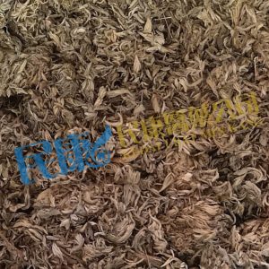 HerbaArtemisiaeScopariae<br>MianYinChen<br>綿茵陳<br>绵茵陈