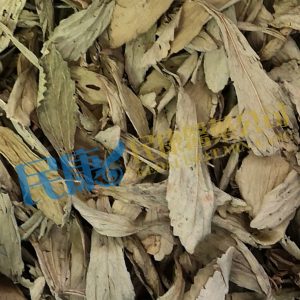 SteviaRebaundiana<br>SteviaLeaf<br>TianJuYe(TianYeJu)<br>甜菊葉(甜葉菊)<br>甜菊叶(甜叶菊)