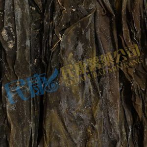 LaminariaJaponica<br>HaiDai<br>海帶<br>海带