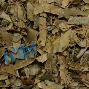 FoliumEriobotryae<br>LoquatLeaf<br>PiPaYe<br>枇杷葉<br>枇杷叶