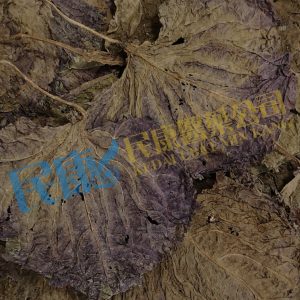 FoliumPerillae<br>ZiSuYe<br>紫蘇葉<br>紫苏叶