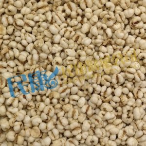 SemenCoicis<br>ChaoYiYiRen(ChaoYiRen/ChaoYiMi)<br>炒薏苡仁(炒薏仁/炒薏米)