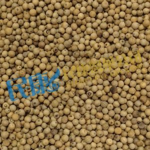 FructusPiperis<br>WhitePeppercorn<br>BaiHuJiaoLi(GuYue)<br>白胡椒粒(古月)