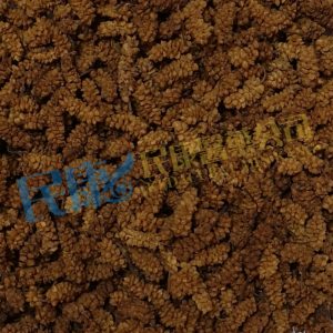 FructusMori<br>Mulberry<br>SangZhenZi(SangShenZi)<br>桑椹子(桑葚子)