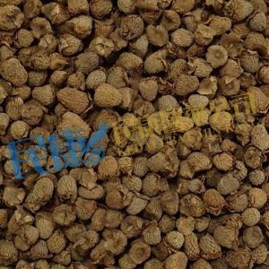 FructusRubi<br>RubusIdaeus<br>Rasberry<br>FuPenZi<br>覆盆子
