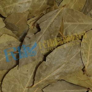 Myrcia<br>BayLeaf(LaurelLeaf)<br>YueGuiYe(XiangYe)<br>月桂葉(香葉)<br>月桂叶(香叶)
