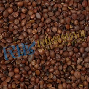 SemenZiziphiSpinosae<br>SuanZaoRen<br>酸棗仁<br>酸枣仁