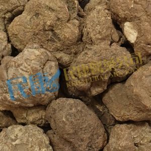 LignosusRhinocerus<br>TigerMilkMushroom<br>LaoHuRu(LaoHuNai/HuRuZhi/HuRuLingZhi)<br>老虎乳(老虎奶/虎乳芝/虎乳靈芝)<br>老虎乳(老虎奶/虎乳芝/虎乳灵芝)