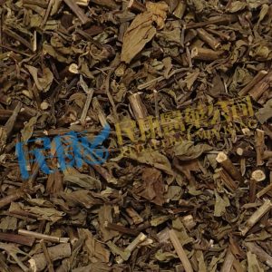 ClerodendranthusSpicatus<br>OrthosiphonAristatus<br>Cat'sWhiskers<br>MisaiKucing<br>MaoXuCao(ShenCha/MaoXuGong/HuaShiCao)<br>貓鬚草(腎茶/貓鬚公/化石草)<br>猫须草(肾茶/猫须公/化石草)