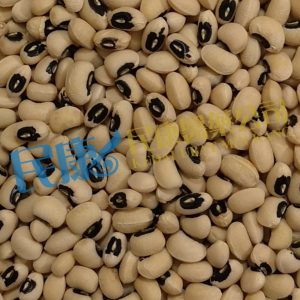 VignaUnguiculata<br>Cowpea(BlackEyedPea/BlackEyedBean)<br>MeiDou(JiangDou/HeiYanDou)<br>眉豆(豇豆/黑眼豆)