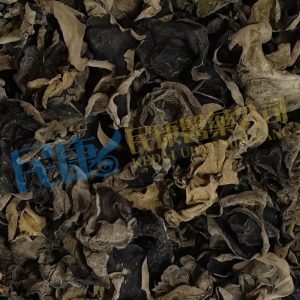 AuriculariaAuricula-Judae<br>Jew'sEar<br>YunEr(HeiMuEr)<br>雲耳(黑木耳)<br>云耳(黑木耳)
