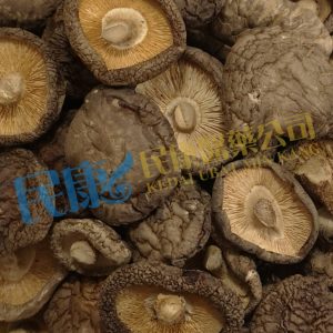 LentinusEdodes<br>ShiitakeMushroom<br>XiangGu(GuangMianGu)<br>香菇(光面菇)