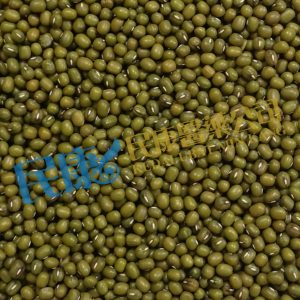 VignaRadiata<br>MungBean(GreenGram)<br>LvDou<br>綠豆<br>绿豆