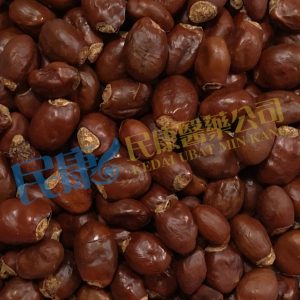 SemenLitchi<br>LycheeSeed<br>LiZhiHe<br>荔枝核