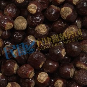 SemenLongan<br>LonganSeed<br>LongYanHe<br>龍眼核<br>龙眼核