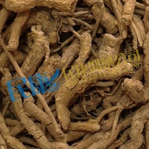 RadixCrotonisCrassifolii<br>JiGuXiang<br>雞骨香<br>鸡骨香